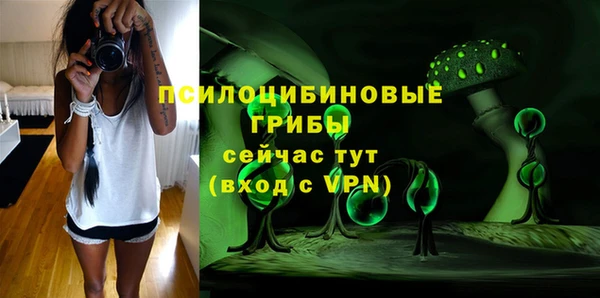 круглые Аркадак