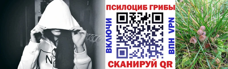 Псилоцибиновые грибы ЛСД Белоярский